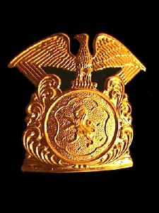 New York County of Nassau Police Department Hat Badge