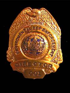 New York Enviromental Department Enforcement Director