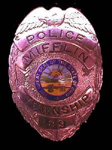 Ohio Mifflin Township Police
