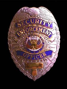 Security Enforcement Officer